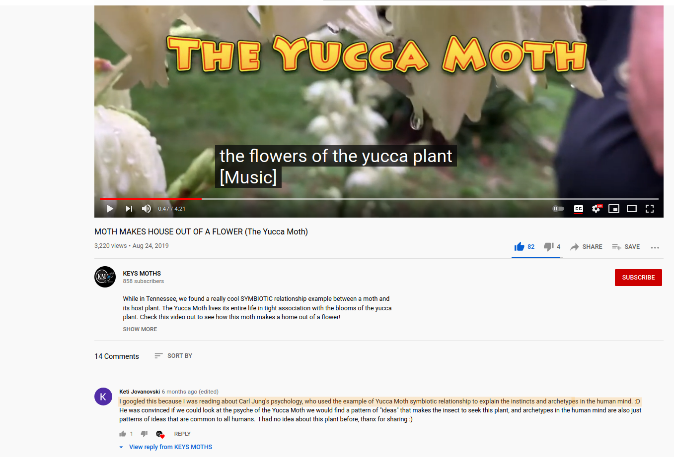 Screenshot of a YouTube video about yucca moths. In the comments someone posted, "I googled this because I was reading about Carl Jung's psychology, who used the example of Yucca Moth symbiotic relationship to explain the instincts and archetypes in the human mind. :D"