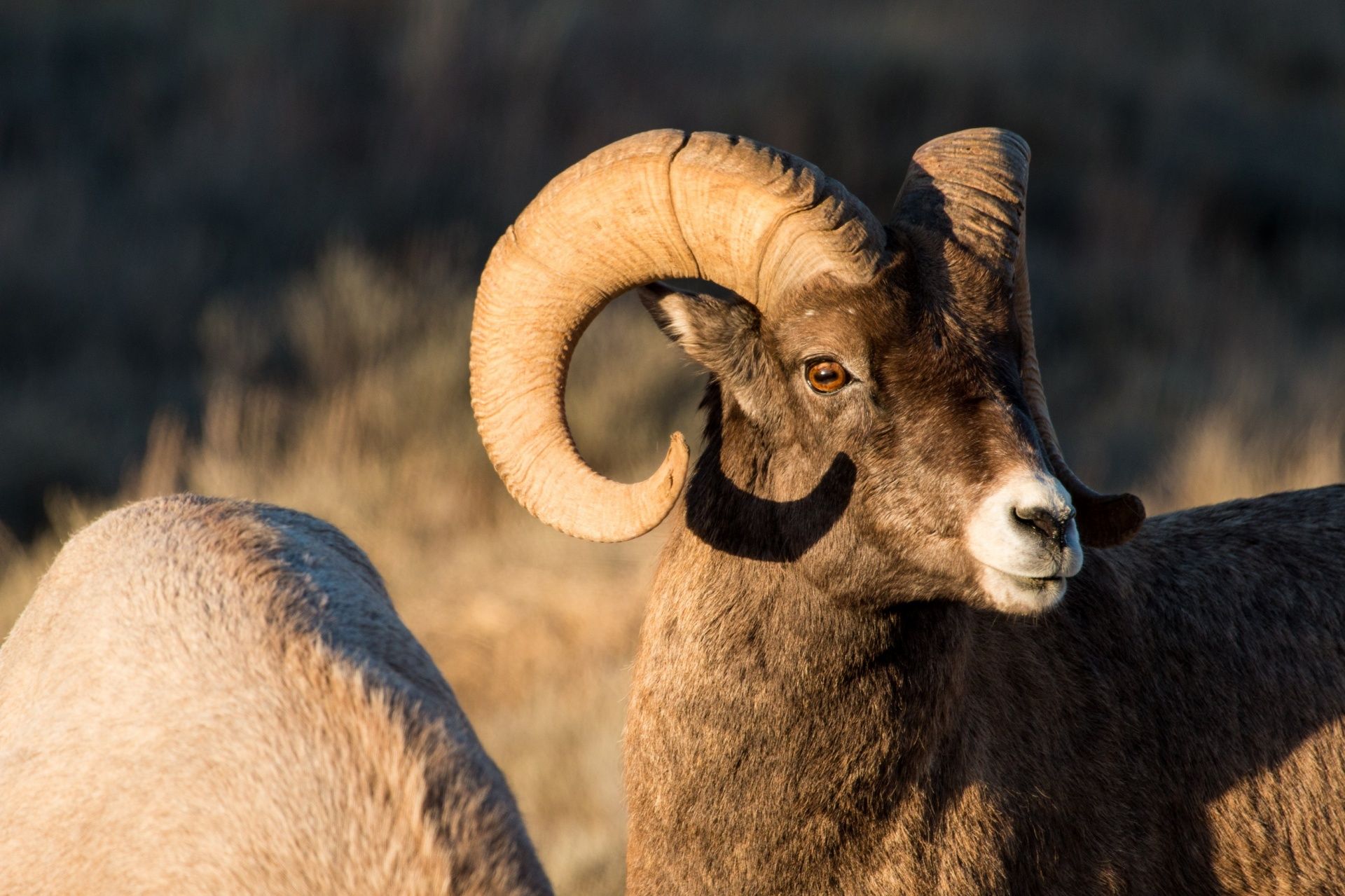 Demand Environmental Justice in Western Colorado