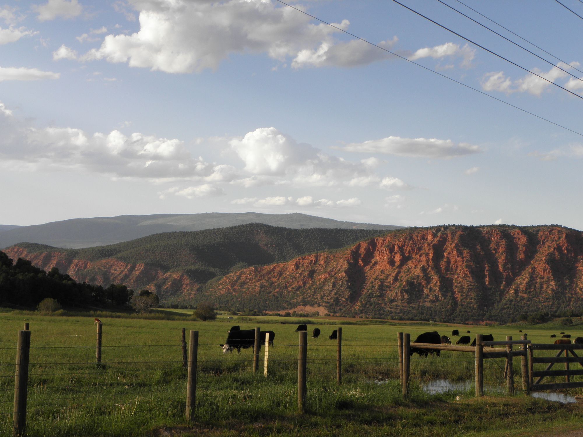 Demand Environmental Justice in Western Colorado